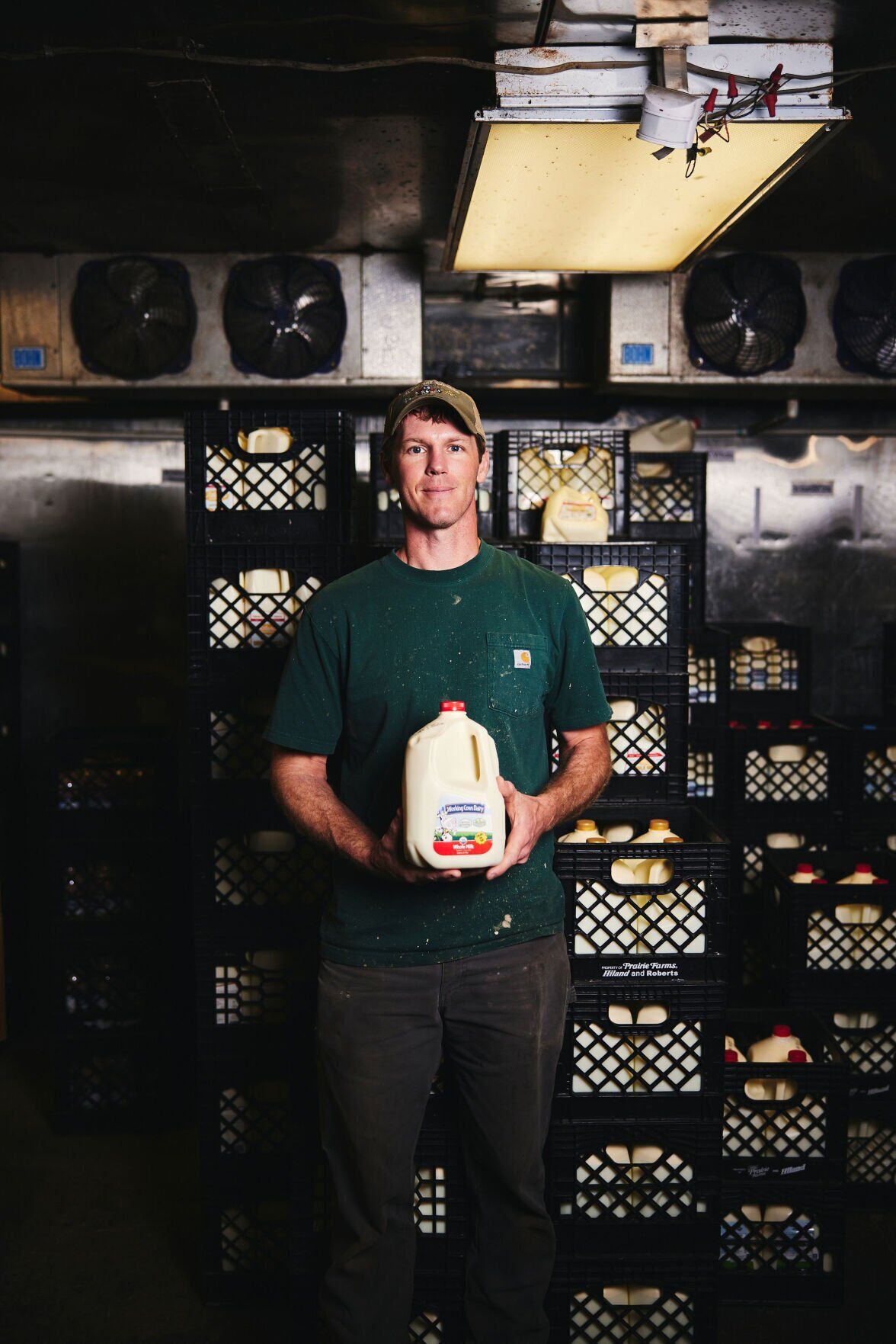 Dairy